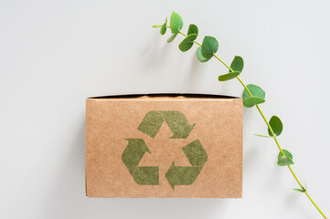 Cardboard box with a recycle sign and a plant on a light background. Concept of ecology,...