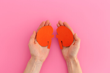Paper kidneys organ model in human hands, top view. Medical concept - 785715759
