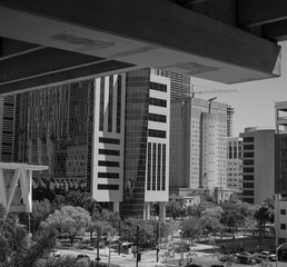 black and white buildings downtown miami 