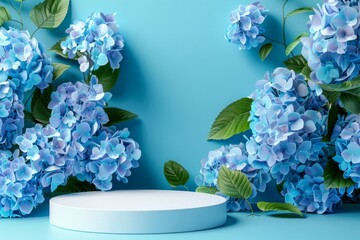 mock up podium on vibrant blue background with hortensia.