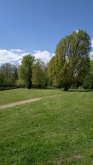 Fototapeta na wymiar Promenade dans le parc de Châteauneuf-sur-Loire