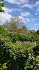 Promenade dans le parc de Châteauneuf-sur-Loire