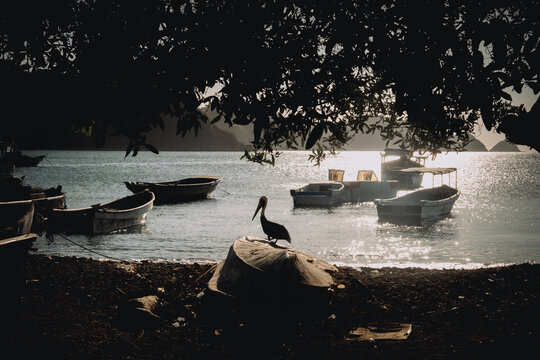 Tranquil scene at Tayrona Natural Park's coastline