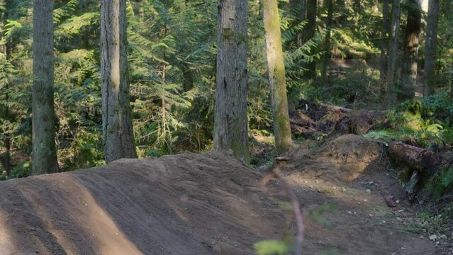 Bicycle Backflip at Duthie Hill in Washington State