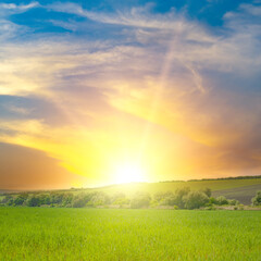 Beautiful sunrise over green field. Blue sky and clouds.