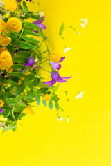 Bright colorful bouquet of small yellow wild flowers, bluebell, tufted vetch, stems on yellow background. Floral texture. Vertical botanical photo with copy space