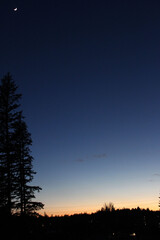 February Washington Moonlight lighting the sky