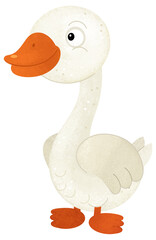 cartoon scene with goose bird animal isolated background illustration for children