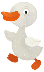 cartoon scene with goose bird animal isolated background illustration for children