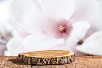 Round cut of a tree on a wooden table against the backdrop of blooming white magnolia.
