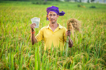 farmer holding paddy crops and indian currency while standing in the agricultural field