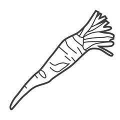 Linear icon of horseradish. Black and white vector illustration.
