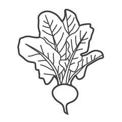 Linear icon of beet greens. Black and white vector illustration.