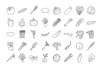 Linear icons of various vegetables. Black and white vector illustration set.