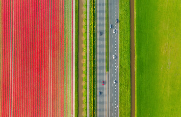 Drone view of a road in the middle of a field. Landscape from a drone. Road and transport. Car traffic. A field with rows of flowers. View from above. Agriculture and growing plants.