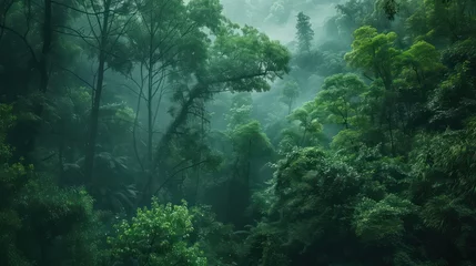Fotobehang An atmospheric and moody image of a dense forest with various shades of green, highlighting the beauty and mystery of nature amidst fog © Matthew