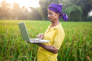 rural indian farmer using advance wireless technology in the cultivated land