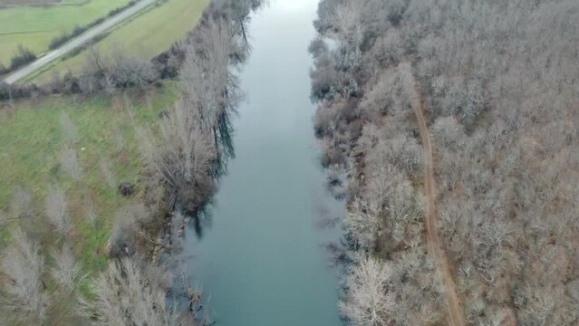 drone flying over the esla river in le&oacute;n on a winter morning with frozen trees. Video in blue and green tones