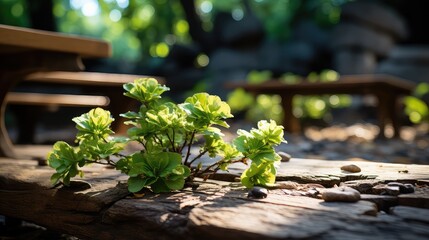 path photo realistic ultra shar UHD Wallpaper