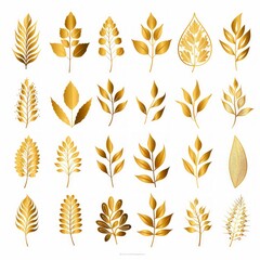 Botanical collection featuring golden leaves of multiple species. Artistic gold foliage variety. Concept of nature graphics, seasonal flora, and decorative botanical art. Isolated on white background.