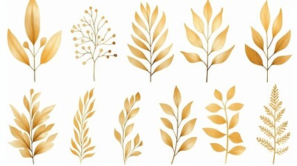 Set of golden leaves isolated on a white background. Assorted gold leaf illustrations. Concept of autumn elegance, botanical art, and nature-inspired design.