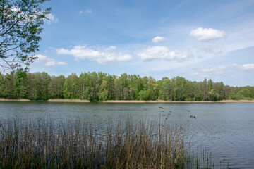 Fototapeta na wymiar Lake Rogoźnik on a sunny spring day