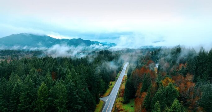 Car approaches by the straight highway along the pine tree forest. Thick fog covers the vast pine tree woods in the Mount Rainer National park, Washington State, the USA. Top view.