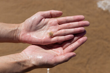 Fototapeta premium Small crab in the hands of a woman on the beach