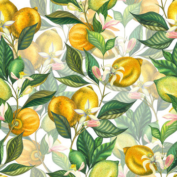 Watercolor seamless pattern with blooming lemons and lime branch with leaves, pink flowers and green lemon. Hand painted yellow fruits and flower isolated on white background. Fresh citrus