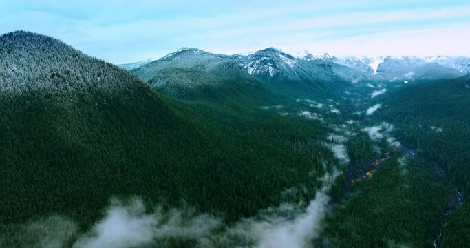Stunning high mountains in the Mount Rainer National park, Washington State, the USA. Evergreen pine tree woods cover the area. Top view.