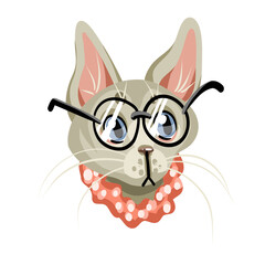 vector cat with glasses and a scarf, fashionable cat on a white background