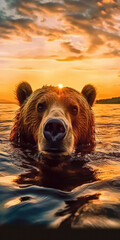 A brown bear calmly swims as the sun sets casting a warm glow.