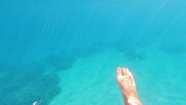 Human feet underwater diving with saddled sea bream (Oblada melanura) in the crystal clear turquoise waters of the Aegean, close to the surface. Underwater footage in 4K resolution.

