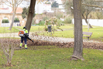 A worker is blowing leaves with a leaf blower in a park