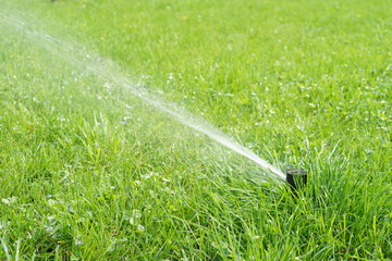 Automatic smart lawn sprinkler watering green lawn grass in sunny day. Sprinkler with automatic...