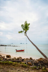 Beach with boat and lonely palm tree on Koh Samui, Thailand