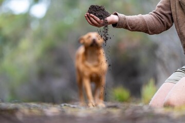 farmer hold soil in hands monitoring soil health on a farm.