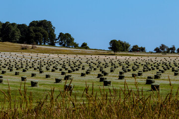 Fields of hay bales