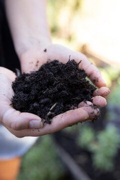 Hands holding fresh compost rich soil in the garden