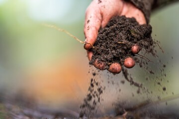 farmer holding soil in hand and pouring soil on ground. connected to the land and environment. soil...