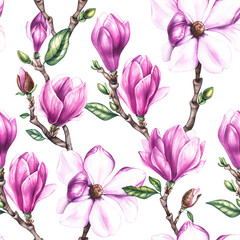 Watercolor pattern with magnolia flowers on a white background