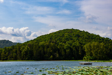 Beautiful scenery at Lake Leatherwood.