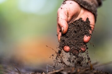 farmer hold soil in hands monitoring soil health on a farm.