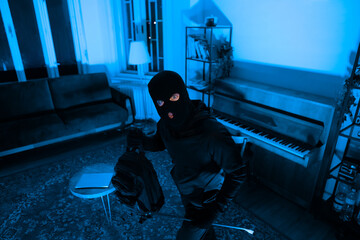 Silhouette of a burglar with a crowbar in an apartment - obrazy, fototapety, plakaty