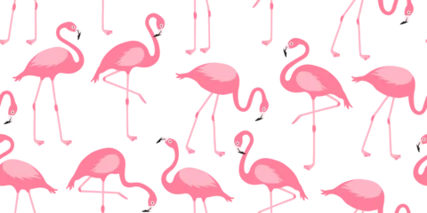 Tableaux sur verre Flamingo Cartoon flamingo seamless pattern, pink swan background, tropical bird print, summer animal set, cute zoo character wallpaper. Exotic fauna vector illustration