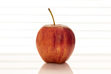 Close up of a red pple on a white background.