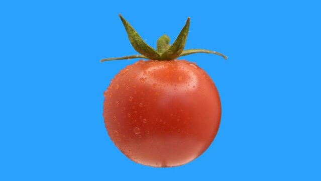Cherry tomato twisting and spinning around 1