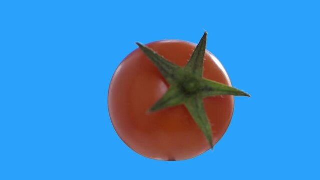 Cherry tomato twisting and spinning around on blue