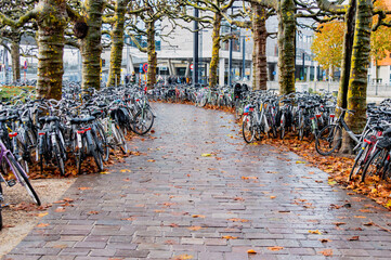 Bicycles in the parking lot in Ghent, Belgium.