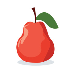 Syzygium samarangense or water apple fruit vector illustration, buah jambu or wax apple, red java apple or semarang rose apple image, wax jambu icon 